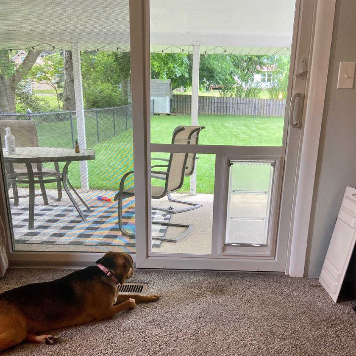 dog door in sliding door glass