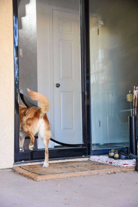 Screen Pet Door Conversion and Replacement Kit