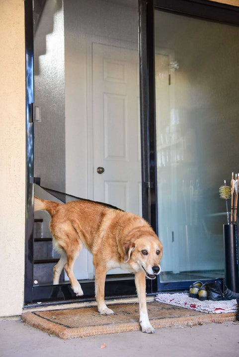 Screen Pet Door Conversion and Replacement Kit