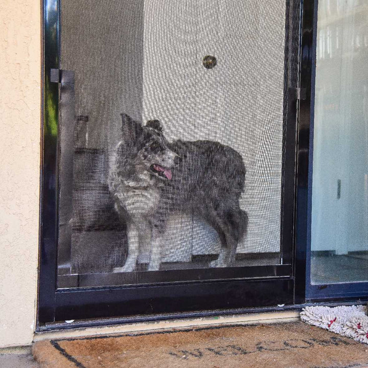 Screen Pet Door Conversion and Replacement Kit