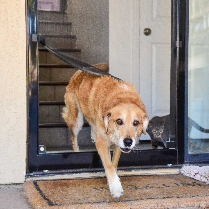 Screen Pet Door Conversion and Replacement Kit