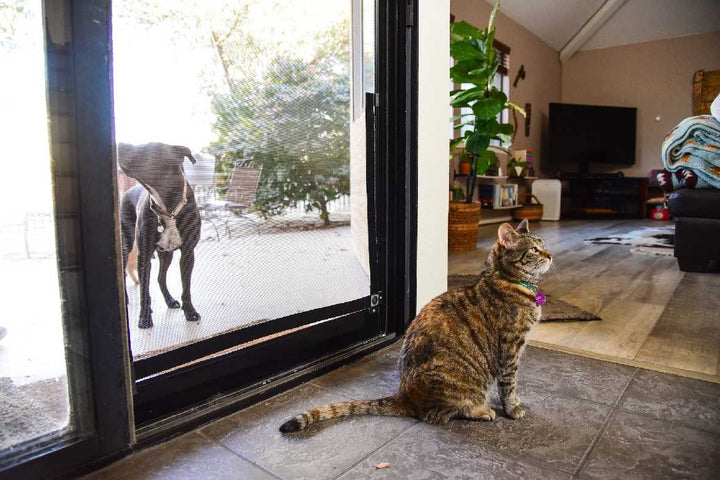 Screen Pet Door Conversion and Replacement Kit