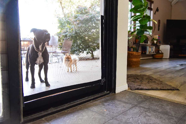 Screen Pet Door Conversion and Replacement Kit