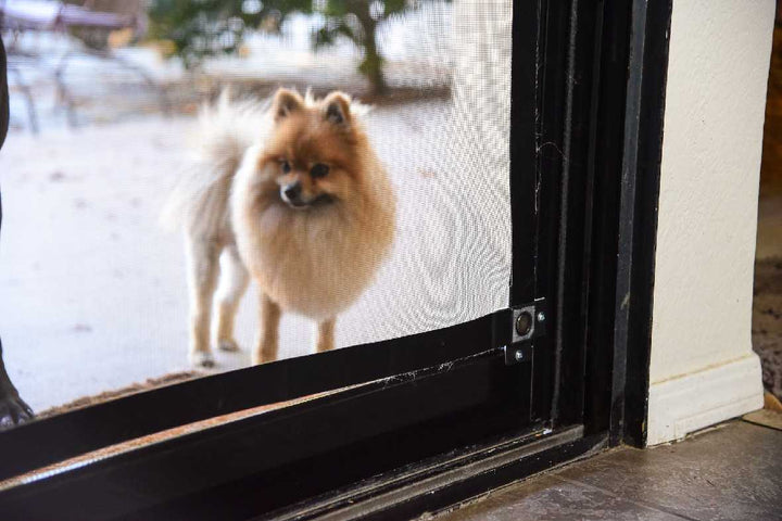 Screen Pet Door Conversion and Replacement Kit