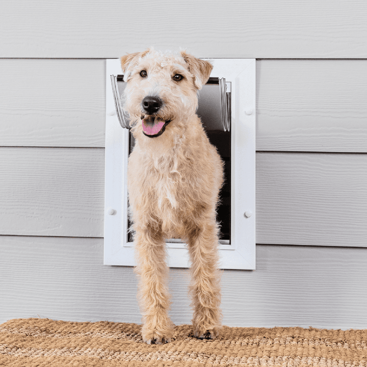 PetSafe Wall Entry Pet Door