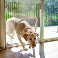 dog doing through the pet door screen door conversion kit 